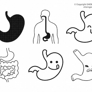 Magen Clipart, Organ Png, Magen Clipart, Anatomie Dxf, Körper Organ Eps, Magen Cricut, Organe Cut File, Magen Silhouette