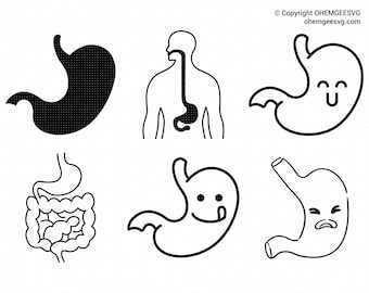 Estômago Svg, Órgão Humano PNG, Clipart de Estômago, Anatomia Dxf, Órgão Corporal EPS, Estômago Cricut, Arquivo de Corte de Órgãos, Silhueta de Estômago