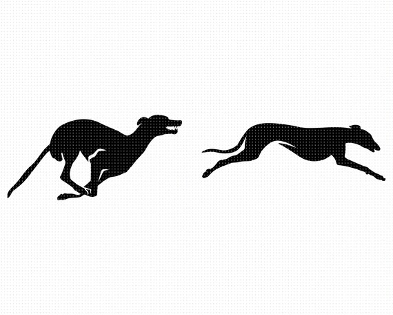 greyhound svg dog racing svg greyhound silhouette greyhound etsy greyhound svg dog racing svg greyhound silhouette greyhound dog svg dog racing clipart dog racing cricut