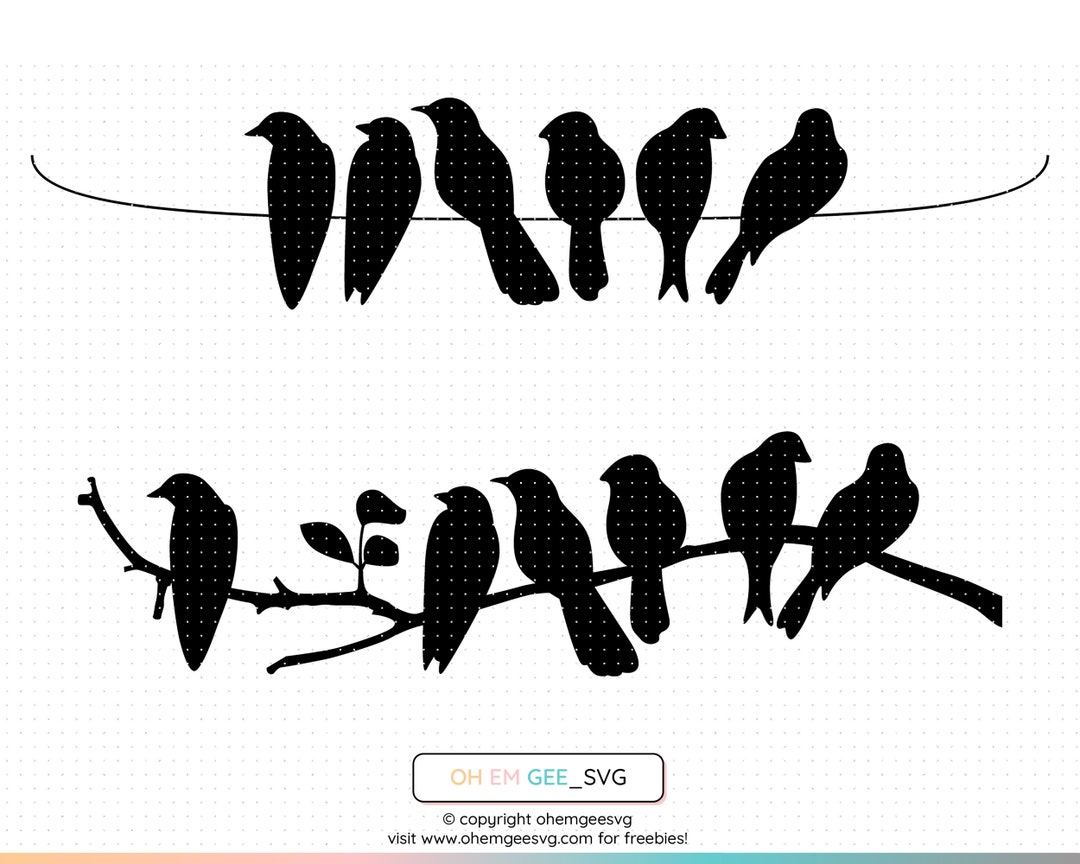 WAY OF THE BIRD Andy Davis メッセージサイン入り 本