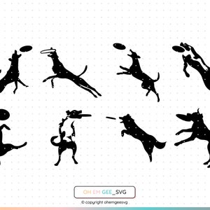 Op de afbeelding: Zwart-witte silhouet-illustraties van honden die frisbees vangen. De honden staan in verschillende poses, sommige springen, sommige rennen en sommige liggen. De frisbees zijn in de lucht.