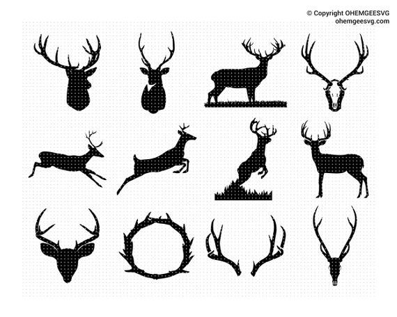Stag antlers deals