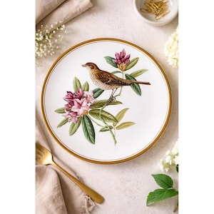 Garden Birds by Spode Plates - Etsy