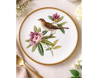 Spode Gartenteller „Vögel“ Nr. 5 von 6, Motiv: Misteldrossel, England, Goldrand, 24 cm (9,5 Zoll)