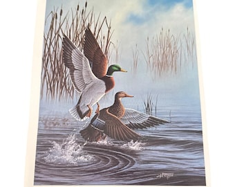 Vintage 1984 J Fenske Mallard Ducks Textured Lithograph Art Print 8x10 Geme Art