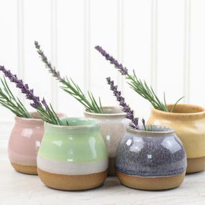 May include: Five small, handcrafted ceramic vases in pastel colors: pink, green, beige, blue-gray, and yellow. Each vase holds a sprig of lavender. The vases have a rounded shape with a natural, unglazed base.