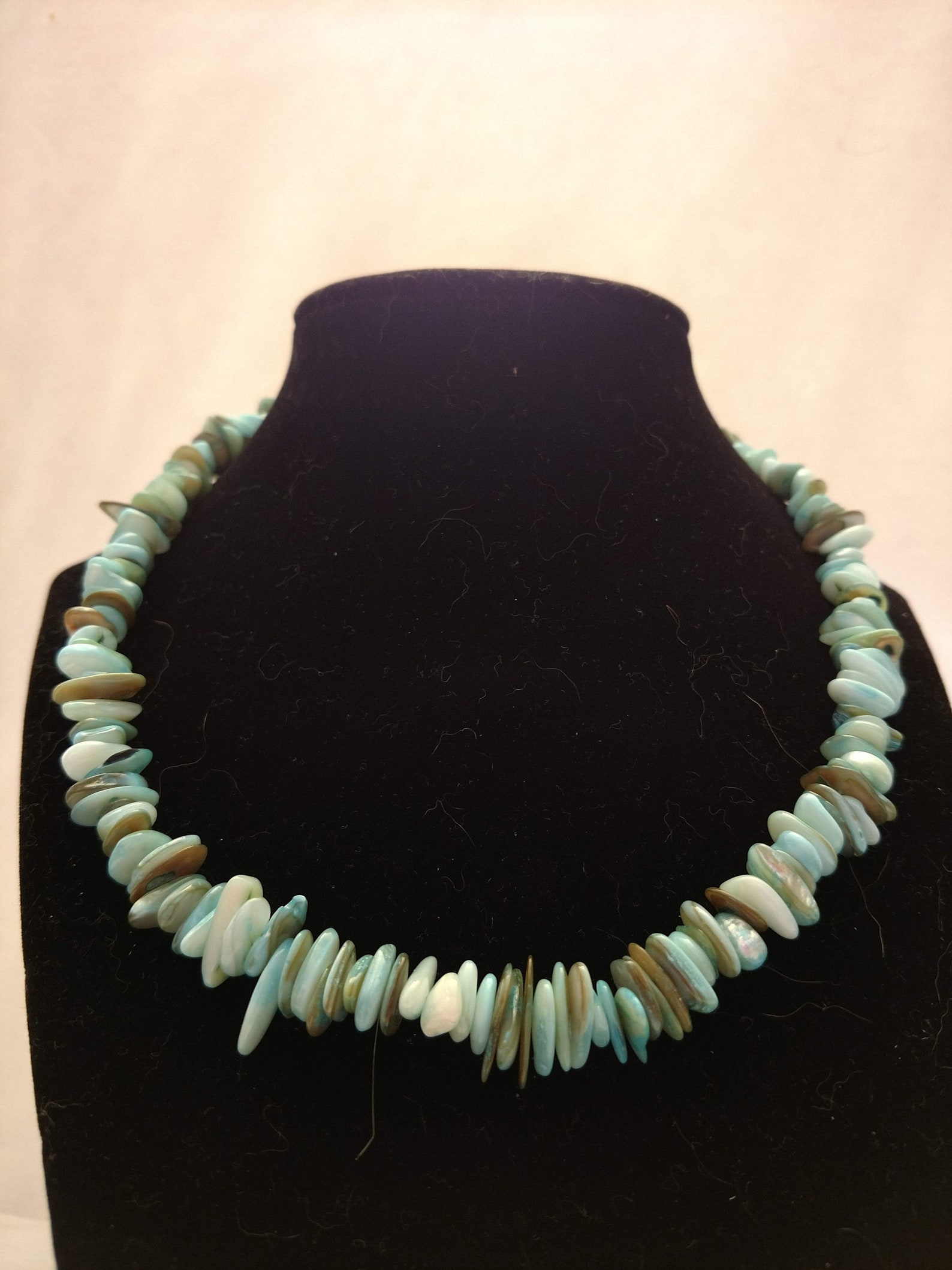 Natural Shell Necklace 8 19mm Etsy