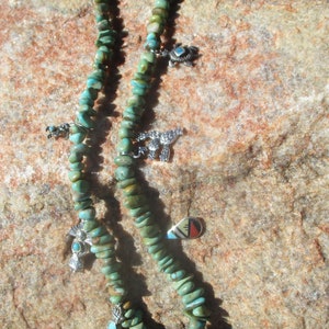 charmer sonoran mexico nuggets