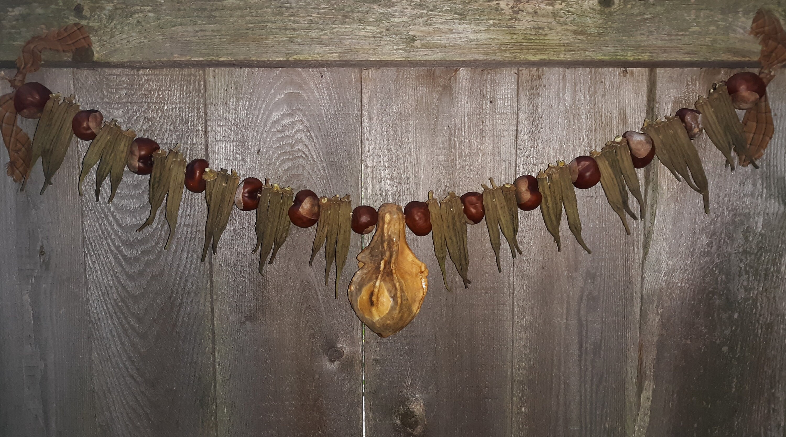 Primitive Dried Gourd Chestnut Okra Homespun Garland Etsy