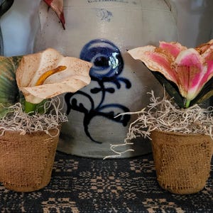 Primitive Peat Pot Lily Cupboard Tuck