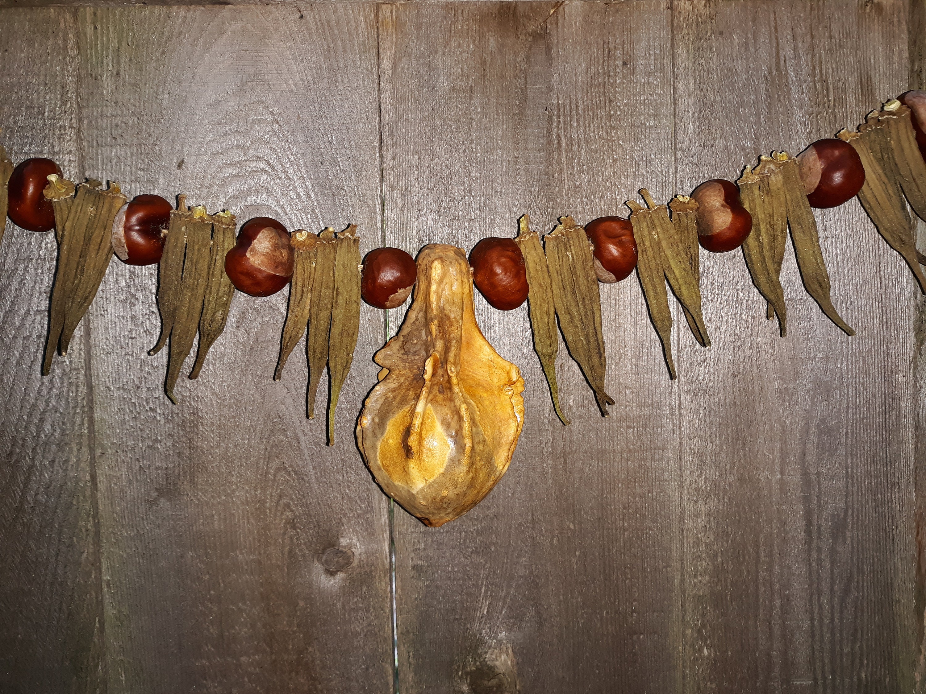 Primitive Dried Gourd Chestnut Okra Homespun Garland Etsy