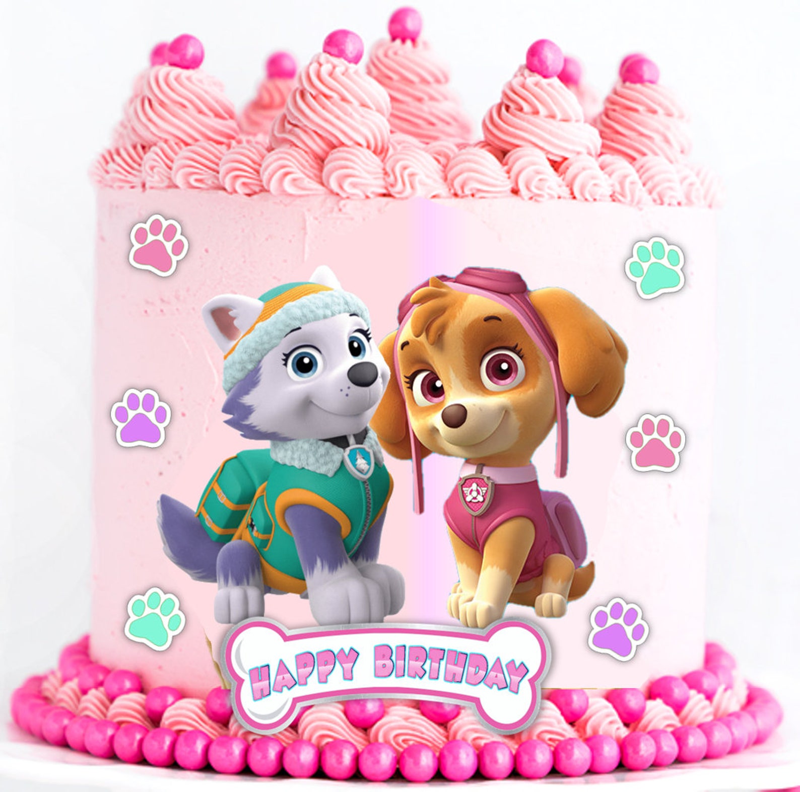 Paw Patrol Skye And Everest Cake