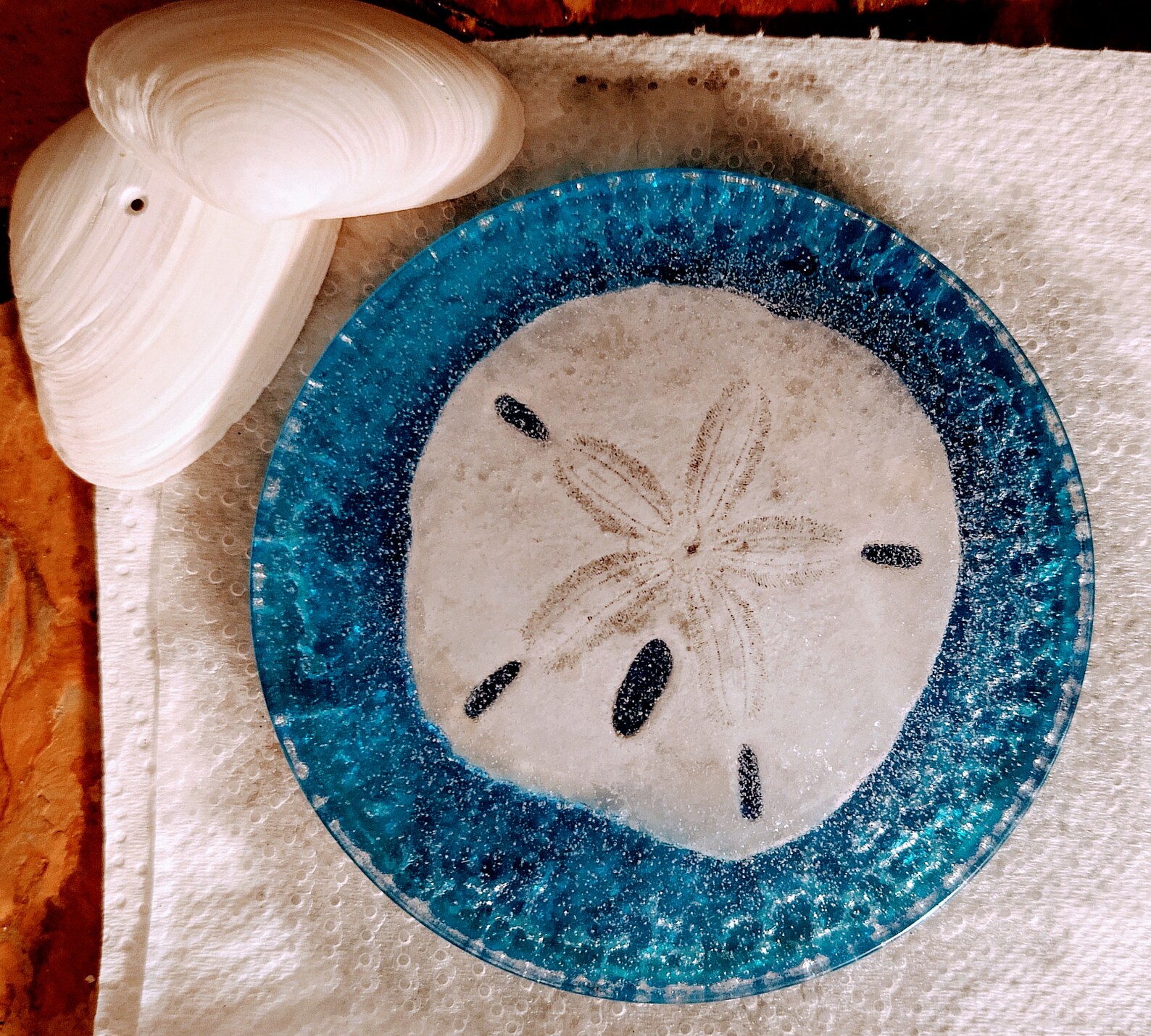 Sand Dollar Beach Drink Coasters Etsy