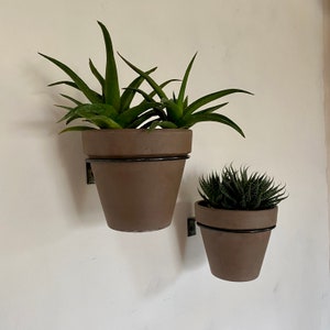 Puede incluir: Dos macetas marrones montadas en la pared con plantas verdes. La maceta más grande contiene plantas de aloe vera con hojas largas y puntiagudas. La maceta más pequeña contiene una suculenta espinosa. Ambas están suspendidas por anillos de metal negro.