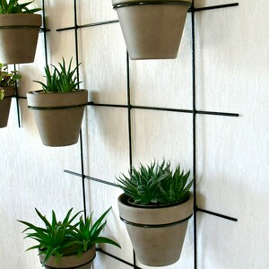 Vertical Wall Hung Planter, Steel Flower Pot Holder image 3