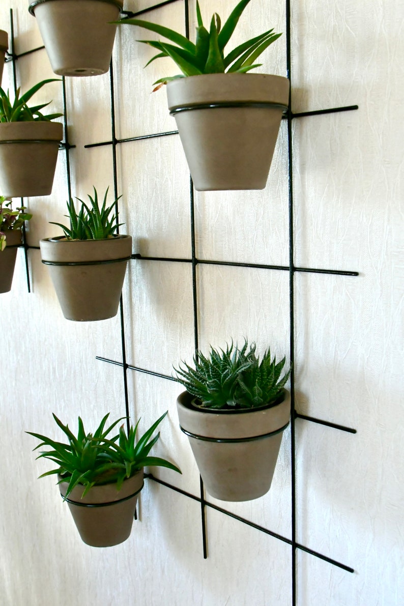 Vertical Wall Hung Planter, Steel Flower Pot Holder image 3