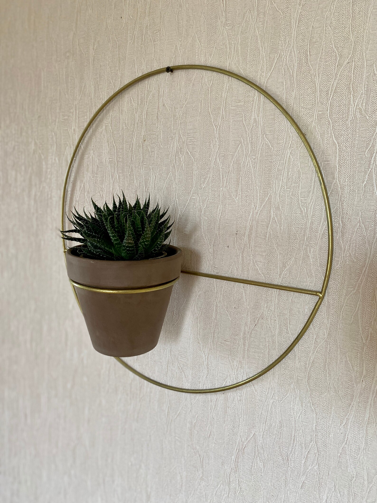 Round Wall Plant Hanger Etsy