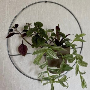 Round Wall Plant Hanger, Ceiling Planter
