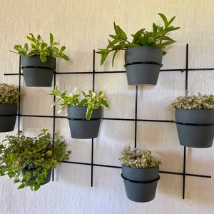 Small Wall Hung Planter, Flower Pot Holder