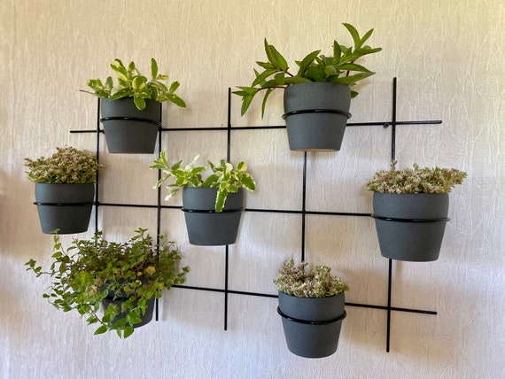 Small Wall Hung Planter, Flower Pot Holder 