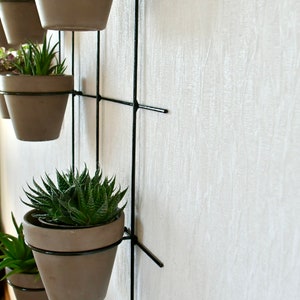 Vertical Wall Hung Planter, Steel Flower Pot Holder image 4