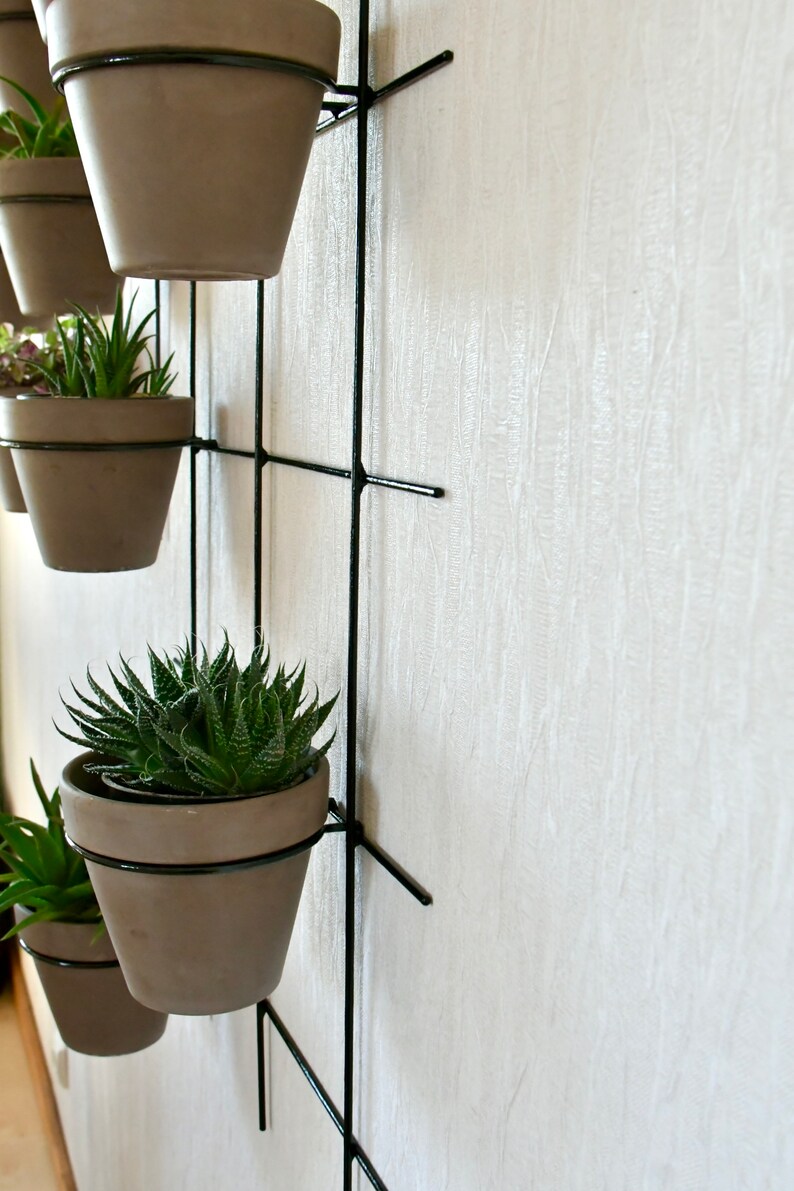 Vertical Wall Hung Planter, Steel Flower Pot Holder image 4