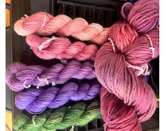 Echinacea Bundle of one full skein Echinacea with 5 mini skeins in lt rose, dk rose, plum, purple and green.  Superwash merino in DK.