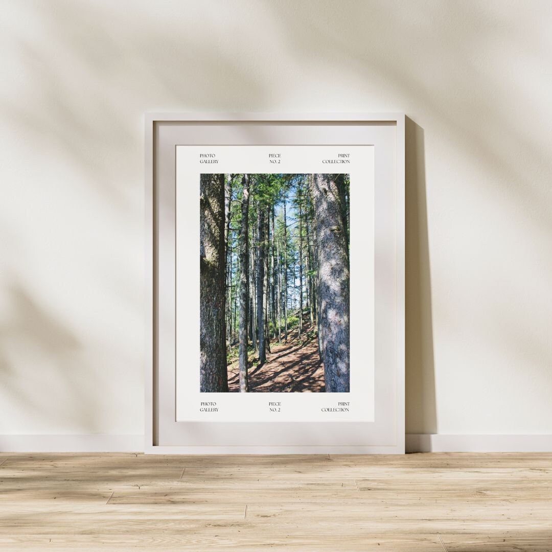 Digital Photo Print Washington - Il Fullxfull.6055656204 Gtys