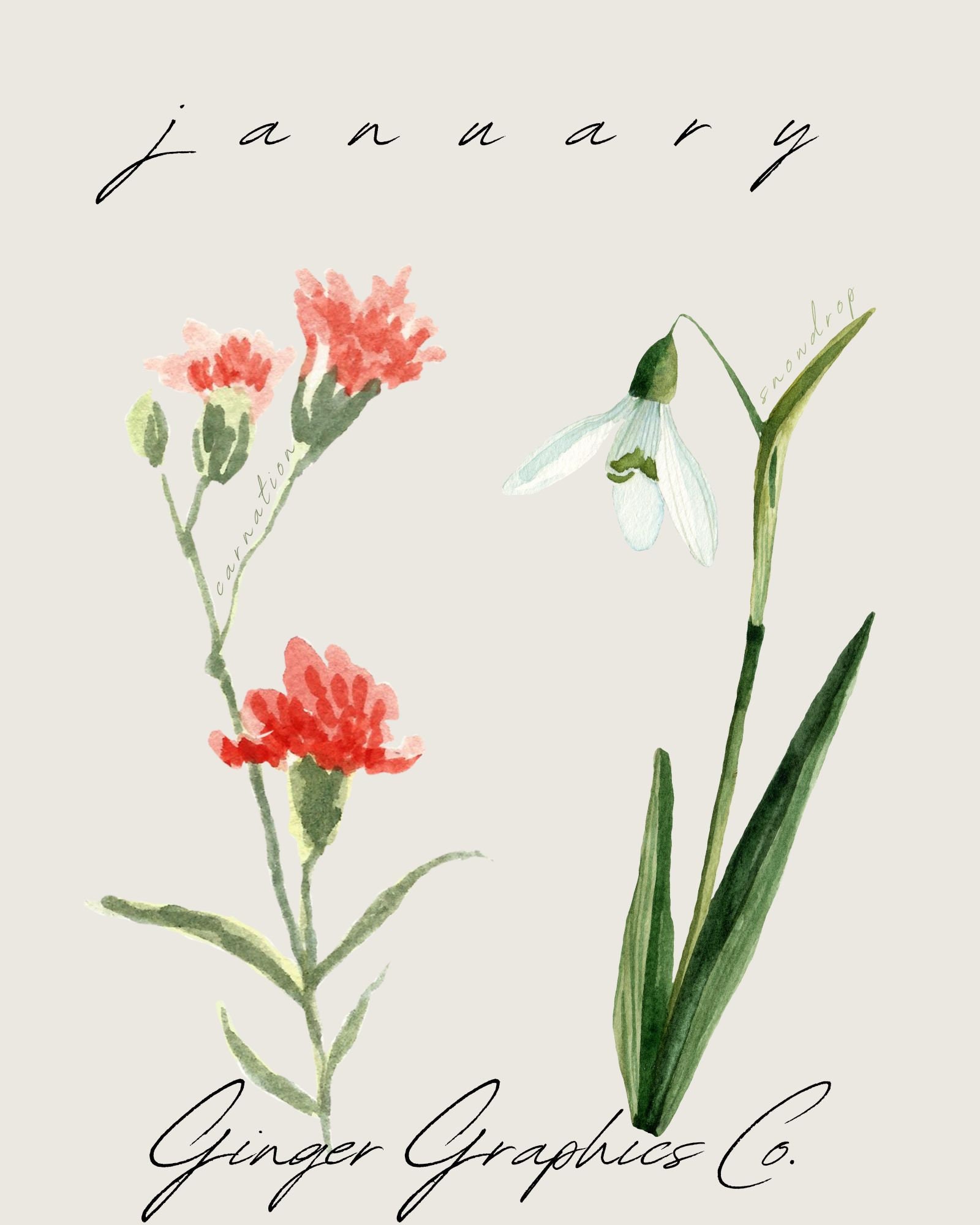 January Floral Digital Download Floral Print Wall Art Print