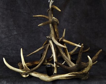 SOLD ||| Authentic Antler Ceiling Lamp- Horn Stag Deer Roe Crown Real Natura Hunting Hunter Gamekeeper Outdoor Gift Man cave chandelier