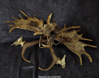 SOLD ||| Authentic Antler Ceiling Lamp- Horn Stag Deer Roe Crown Real Natura Hunting Hunter Gamekeeper Outdoor  Gift Man cave chandelier