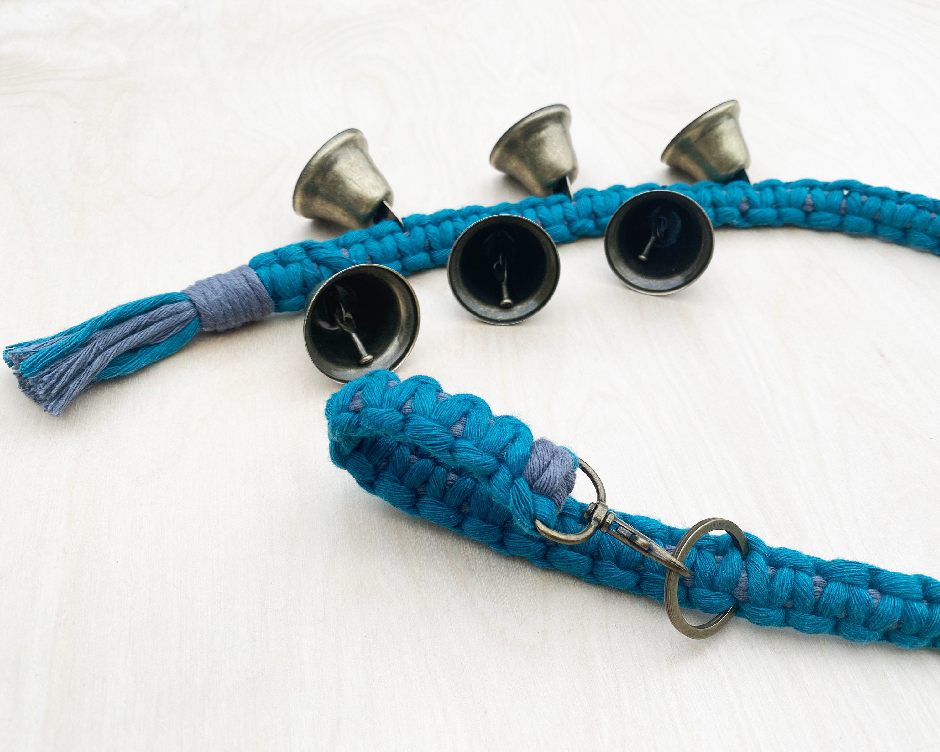 How To Potty Train A Dog With Bells