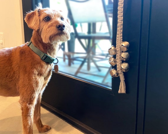 How to potty train a dog with a bell outlet