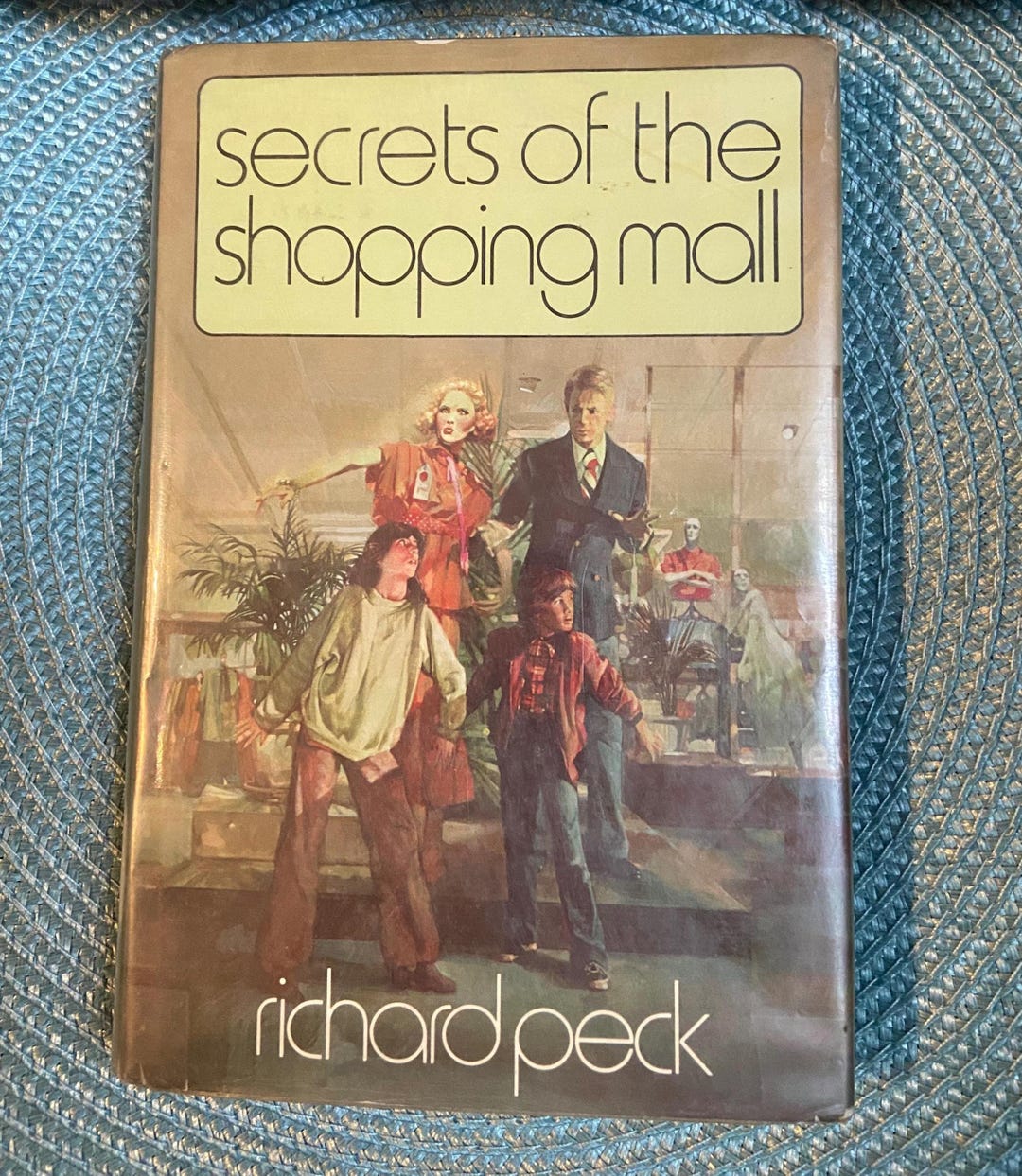 Vintage 'secrets of the Shopping Mall' Hardcover – 1979 YA Fiction
