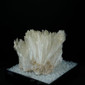 May include: A cluster of white, translucent crystals with a fan-like shape. The crystals are arranged in a radial pattern, creating a delicate and intricate display.