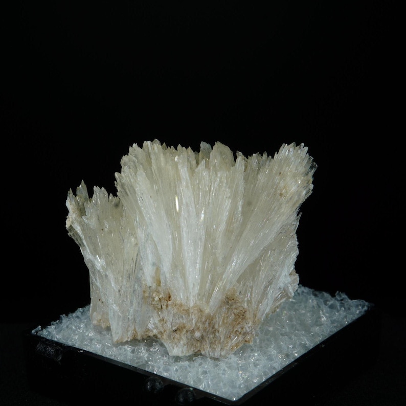May include: A cluster of white, translucent crystals with a fan-like shape. The crystals are arranged in a radial pattern, creating a delicate and intricate display.