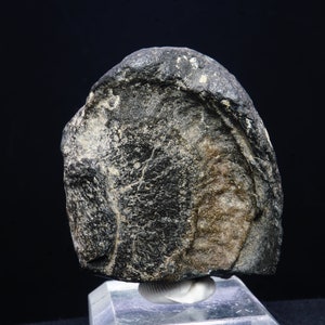 Tektite var. Indochinite / China / Mineral Specimen