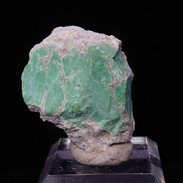 Variscite / 3.8cm Mineral Specimen / Lucin Cuttoff, Utah