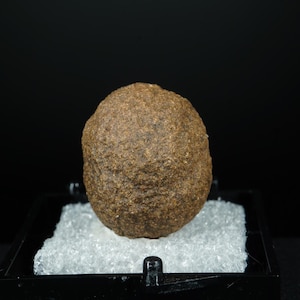 Puede incluir: Una piedra redondeada y marrón con una superficie rugosa y texturizada. La piedra se exhibe sobre un lecho de material blanco arrugado dentro de una vitrina negra, sobre un fondo negro. El color de la piedra es una mezcla de marrones claros y oscuros.