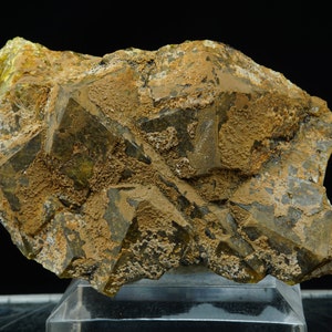 Andradite Garnet / Classic Miniature Mineral Specimen / From Stanley Butte, Arizona