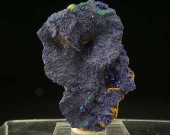 Azurite & Malachite / Morenci Mine, Arizona / Mineral Specimen