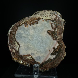 Quartz Geode / Mexico / Mineral Specimen