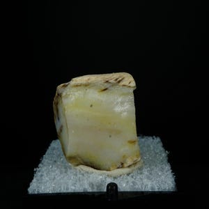 Opalized Petrified Wood / Oregon / Thumbnail Perky Box Mineral Fossil Specimen
