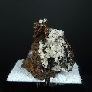 May include: A mineral specimen with a dark brown, textured base, showing areas of orange and white crystalline structures. The mineral is displayed on a white, textured base against a black backdrop. The overall look is rugged and natural.