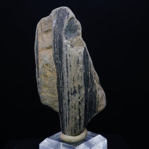 May include: A dark gray and black striped stone with a rough, natural texture. The stone is displayed on a clear acrylic stand.