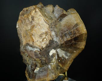 Dinosaur Bone in Septarian Nodule / Mount Carmel Junction, Utah / Extremely RARE Museum Fossil Mineral Specimen