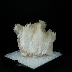 May include: A cluster of white selenite crystals, arranged in a fan shape, on a black display base.