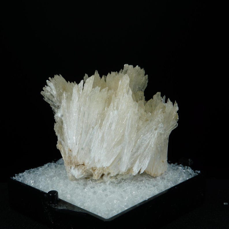 May include: A cluster of white selenite crystals, arranged in a fan shape, on a black display base.