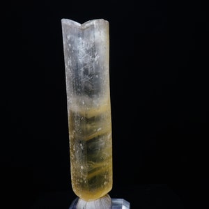 Fishtail Twin Selenite / Great Salt Lake, Utah / Rare Mineral Specimen