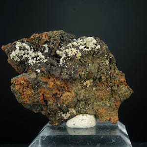 May include: A textured mineral specimen with a mix of dark grey, brown, and orange hues. White, crystalline formations are scattered across the top of the rock. The mineral sits on a clear, angled display stand against a black background.